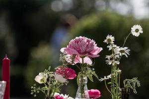 IMG 6599s